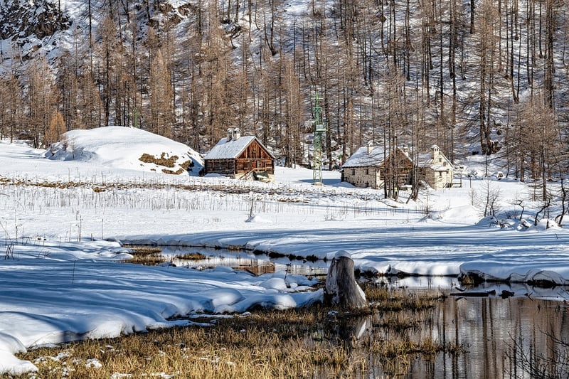 Cozy Cabin in the Woods